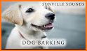 Dog Barking Sounds and Noises related image
