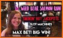 BIG WIN CASINO : Wild Jackpot Slot Machine related image
