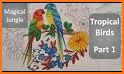 Coloring Book For Kids: Jungle Birds related image