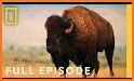 Badlands National Park Tour related image