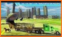 Offroad Farm Animals Truck Driving plane transport related image