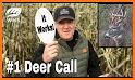 Deer hunting calls related image
