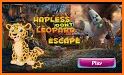 Effete Wombat Escape - A2Z Escape Game related image