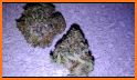 Doja: Cannabis Reviews related image