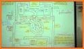 Circulatory System Anatomy related image