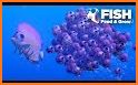 Fish Feed & Growing Underwater :TIPS related image