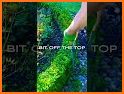 Topiary 3D - Garden Trimming related image
