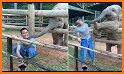Baby Elephant Pet Care related image