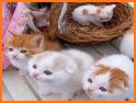 Cute Cat Wallpaper HD related image