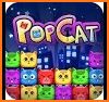 Pop Cat related image