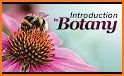 Botanist related image