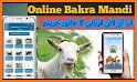 Bakar Mandi Online related image