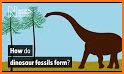 Dinosaur Fossils For Kids related image
