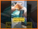 Correlate - Health Diary and L related image