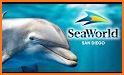 VR Guide: SeaWorld, San Diego related image