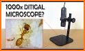 Magnifying Zoom Microscope HD Camera related image