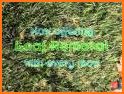 Plowz & Mowz: Lawn, Yard & Landscaping Services related image