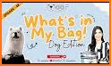 Woof – Pet Safety related image