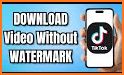 Video Downloader for TikTok no Watermark - TikGrab related image