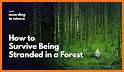 Lost in Forest: Survival Pro related image