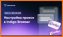 Indigo Browser related image