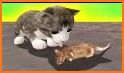My Newborn Baby Kitten Games related image