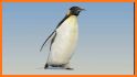 Penguin Run 3D related image