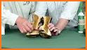 Laminitis related image