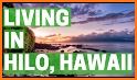 HiLo related image