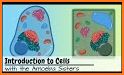 Cell biology related image