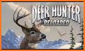 Deer Hunting Game 2019 related image