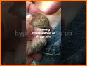 Wet Noses Dry Paws related image