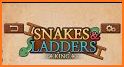 Snakes & Ladders King related image