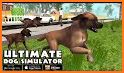 Happy Dog Simulator related image