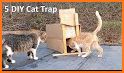 Trap Cat 3D related image