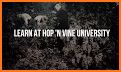 Hop 'N Vine Festival and Market related image