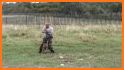 Police K9 Dog Training School: Special Force related image