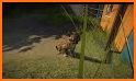 Modern Family Planet Zoo - Animal Park 3D Game related image