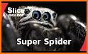 Super Spider related image