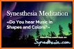 Sensorium - Synesthesia Meditation & Awareness related image