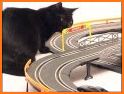 Pet Animal Racing Track related image