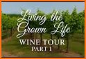 Wine.Dine related image
