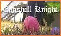 Eggshell knight watch related image