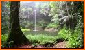 Nature Forest Waterfall Theme related image