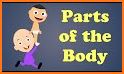 Body Parts for Kids related image
