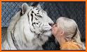 White Tiger related image