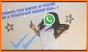 Group for whatsapp - Join XX Group related image
