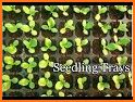 My Seed Trays related image