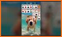 Solitaire - Card Game 2024 related image