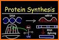Topic Synthesis Quizi ATN related image